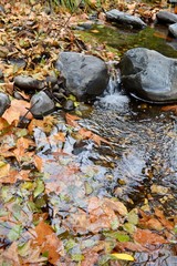 Oak Creek Sedona Arizona Water