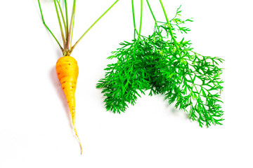 Wall Mural - fresh carrot  isolated on white background