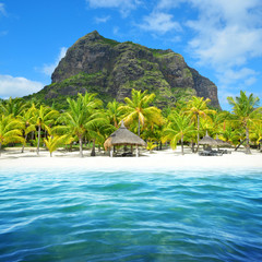 beautiful sandy beach with le morne brabant mountain on the south of mauritius island. tropical land