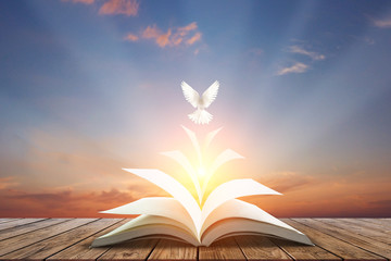 Canvas Afdrukken
 - White pigeons fly out of books that are flicked by the wind in beautiful light on sunset background.freedom concept and international day of peace