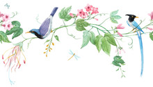 Watercolor Floral Horizontal Pattern With Blue Birds Of Paradise And Pink Delicate Flowers. White Background. Stock Illustration.