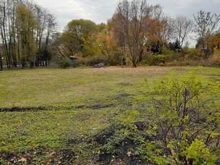  beautiful autumn trees in the park