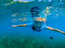 Portrait Of Female In Wetsuit Apnea At Seychelles, Indian Ocean. Travel Lifestyle Watersport Activity. Young Caucasian Woman Snorkeling In Tropical Turquoise Sea. Woman Free Diving Swims In Coral Reef