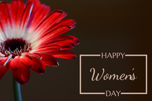 Red Gerbera Flower Background With Happy International Women's Day Text Behind With Border. White Text On Dark Brown Background. Greeting Or Celebration Card To All Women Or Your Girl. Soft Focus Blur