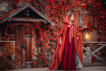 Wall Mural - Beautiful girl in a burgundy coat and red dress on the background of the castle in the park, October