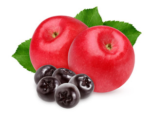 Wall Mural - red Apple and black chokeberry isolated on white background.