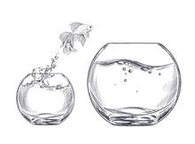 Small Goldfish Jumping From One Fishbowl To Other