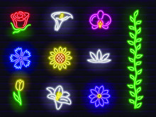 Decorative Colorful Neon Flowers Set
