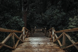 Fototapeta Miasto - Lonely staircase in the forest