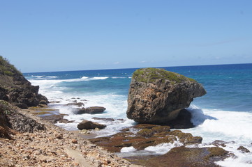 rocks on the beach