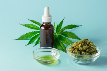 Wall Mural - Glass Bottle of CBD or THC Oil with Hemp or Cannabis Buds, Oil, and Pot Leaves on Aqua Blue Background 