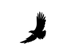 Eagle Icon Sign Design