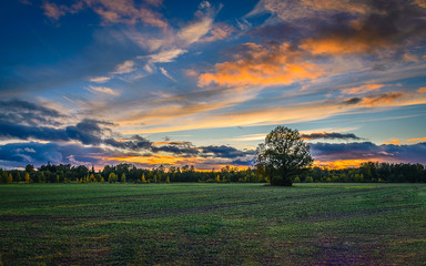 landscape with field and blue sky