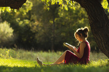 Sunny Portrait Of A Beautiful Girl Sitting On Green Glade Under Tree Branches With Book, Woman Reading Novel On Nature, Concept Hobby And Lifestyle