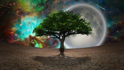 Surrealism. Green tree of life in arid land. Full moon in vivid starry sky