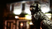 Hand Rubbing Or Touching Nose Of The Famous Greyfriars Bobby Dog Statue For Luck - A Popular Tourist Attraction And A Tradition In Edinburgh, Scotland