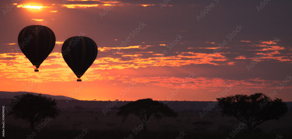 Dawn at Serengeti National Park, Tanzania, Africa - obrazy, fototapety, plakaty 