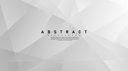 Wall Mural - Modern abstract light silver background vector. Elegant concept design with line.Vector Illustration For Wallpaper, Banner, Background, Card, Book Illustration, landing page