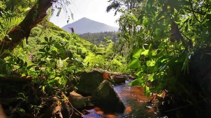 Wall Mural -  stream cascades in bali indonesia in tropical rainforest with volcanoe