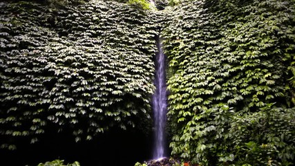 Wall Mural - Bali sekumpul waterfall tourist attraction in tropical rain forest