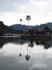 Wall Mural - The view on Kandy Lake, Sri Lanka