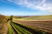 Looking Out Over Farmland In Sussex, On A Sunny Winters Day