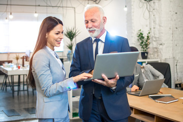 young elegance lady discussing project on laptop with senior colleague while standing in office