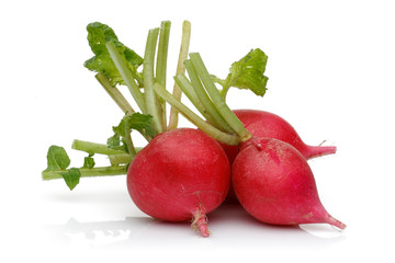 Canvas Print - Whole red radish isolated on white