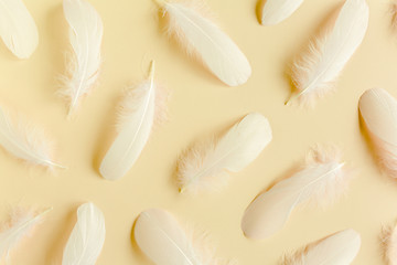 White feather texture on a beige background. Feather background. Flat lay, top view