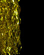 © Konstantin - gold tinsel sequin Christmas tree isolated on black.