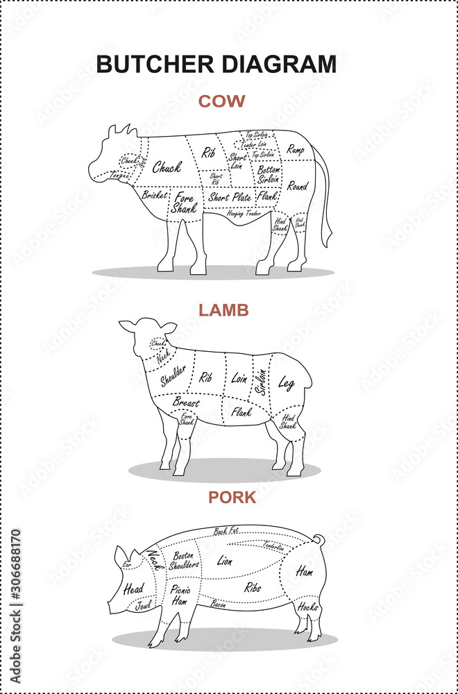 Poster Butcher diagram. Fresh meat beef, pork, lamb. Butchery. Stock ...