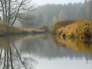 Wall Mural -   landscape with morning mist over the lake  