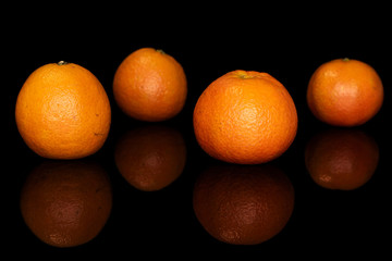 Group of four whole fresh orange mandarin isolated on black glass