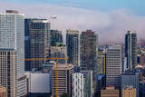 Fototapeta Miasto - Dense fog over Seattle downtown