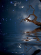 Surreal digital art. Old tree in quiet water. Bright stars in the sky