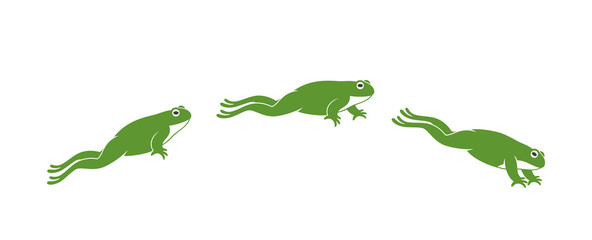 Wall Mural - Frog jumping. Isolated frog jumping on white background
