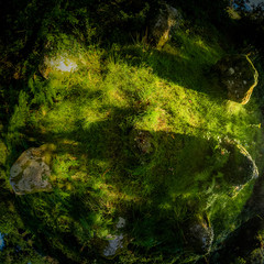 Wall Mural - A stone circle named the seven sisters