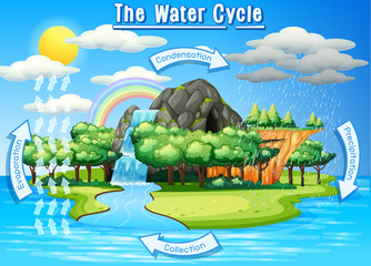 Canvas Print - Water cycle process on Earth - Scientific