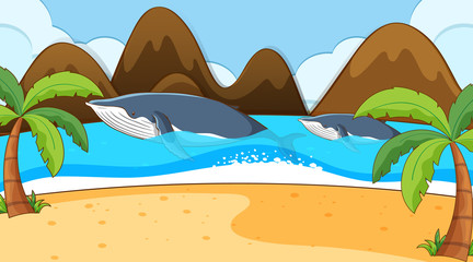 Sticker - Scene with two whales in the ocean