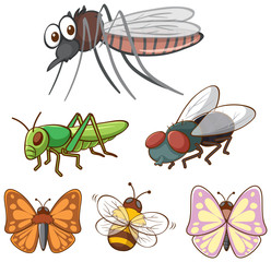 Sticker - Isolated picture of many bugs