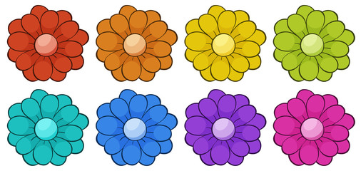 Wall Mural - isolated set of flowers