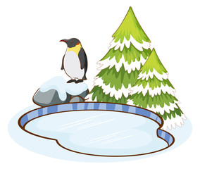 Wall Mural - Penguin standing by the pond