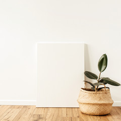 Wall Mural - Home plant ficus in front of blank canvas. Mockup copy space watercolor art concept.