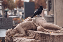 Pere Lachaise - Black Big Raven On A Gravestone In A Cemetery - Mystical View