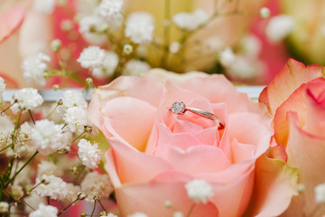 Wall Mural - engagement ring close up on a rose