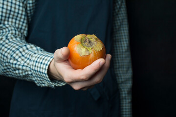 The cook holds a persimmon in his hands. Male hands hold a plate with fresh persimmon. Seasonal fruit. Dark background. Place for text.