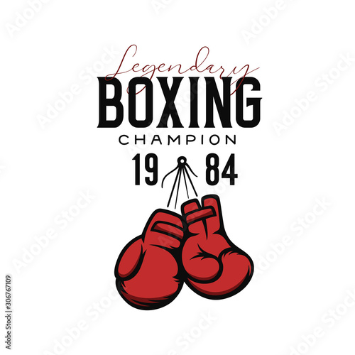 Boxing champion t-shirt design. Vector illustration. Wallpaper Mural