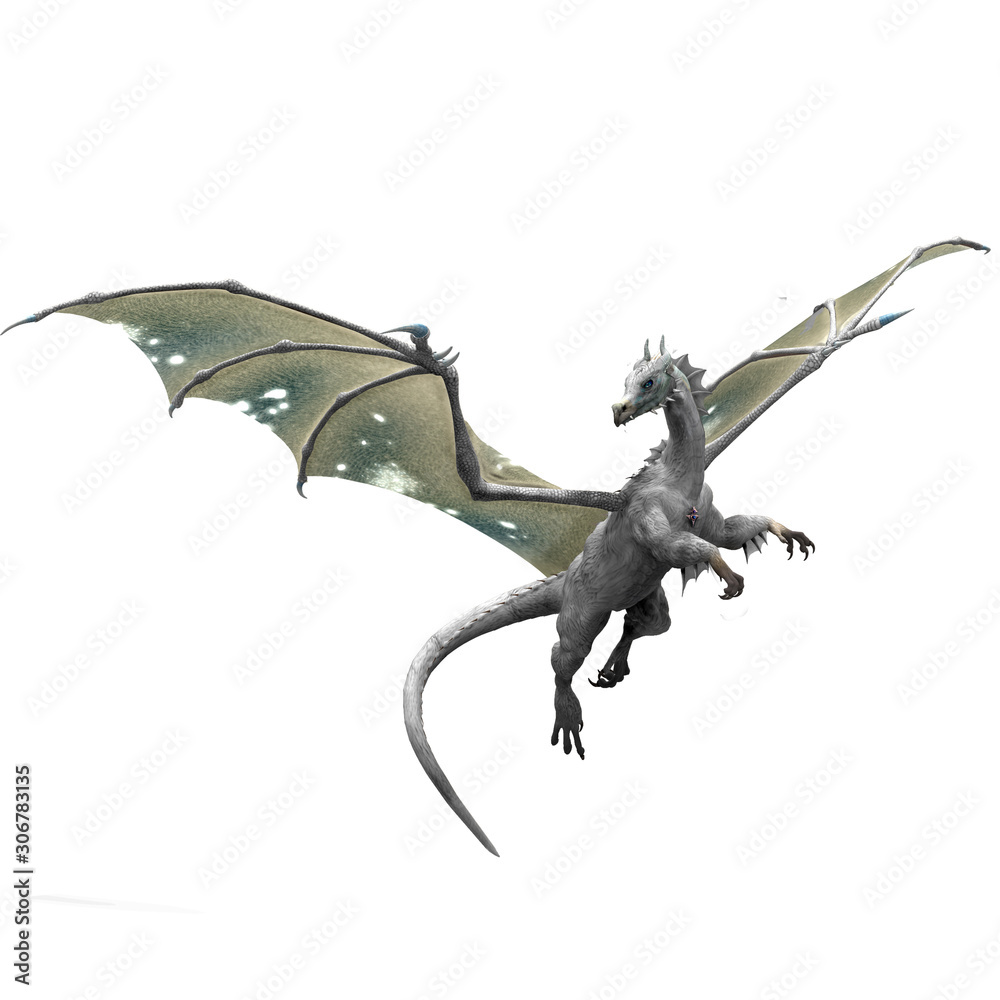 White dragon flying dragon fantasy creature Mythological animal Stock  Illustration | Adobe Stock, image size:1000x1000
