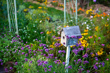 Birdhouse In Flower Garden