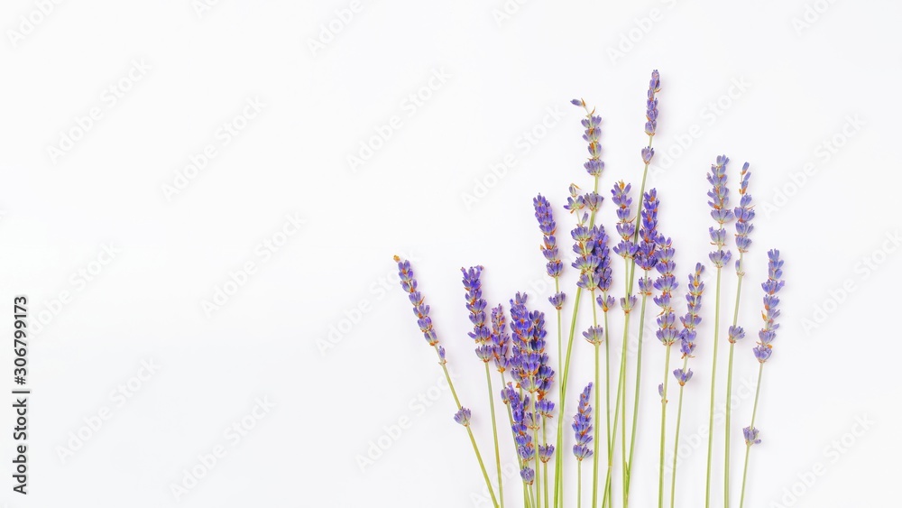 bouquet of violet lilac purple lavender flowers arranged on white table background. Top view, flat lay mock up, copy space. Minimal background concept. Dry flower floral composition isolated on white. - obrazy, fototapety, plakaty 